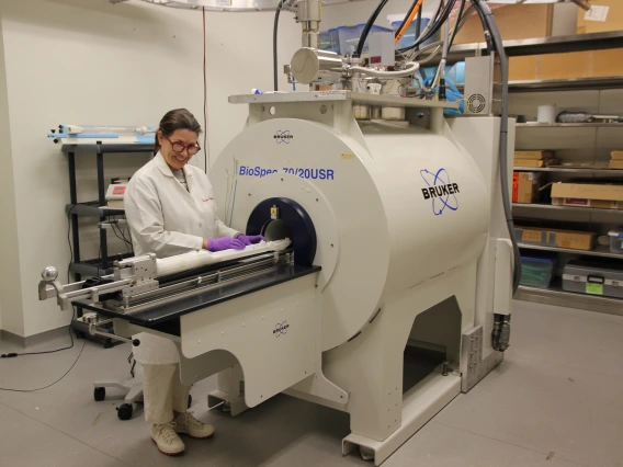 small animal imaging facilities in TBIR 